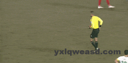 49439c13g00t6e2da00p3c000c80061c 亚冠-国安遭绝杀1-2河内提前出局 林良铭破门张玉宁失单刀